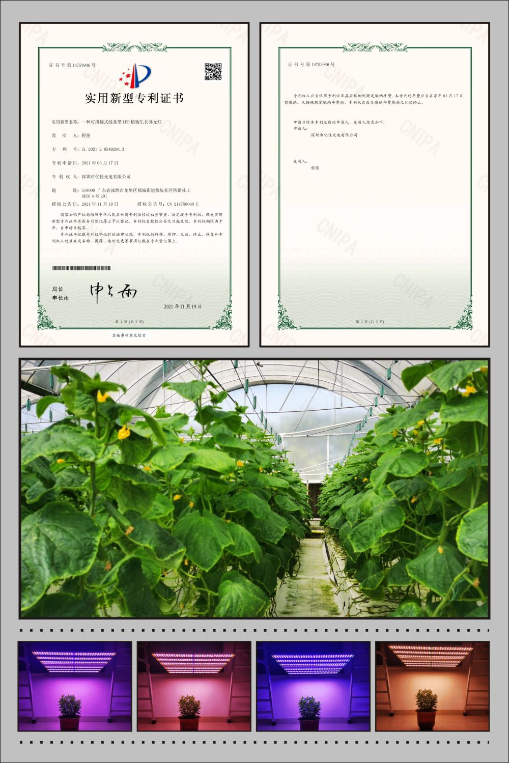 J9国际集团植物农场灯实用新型专利