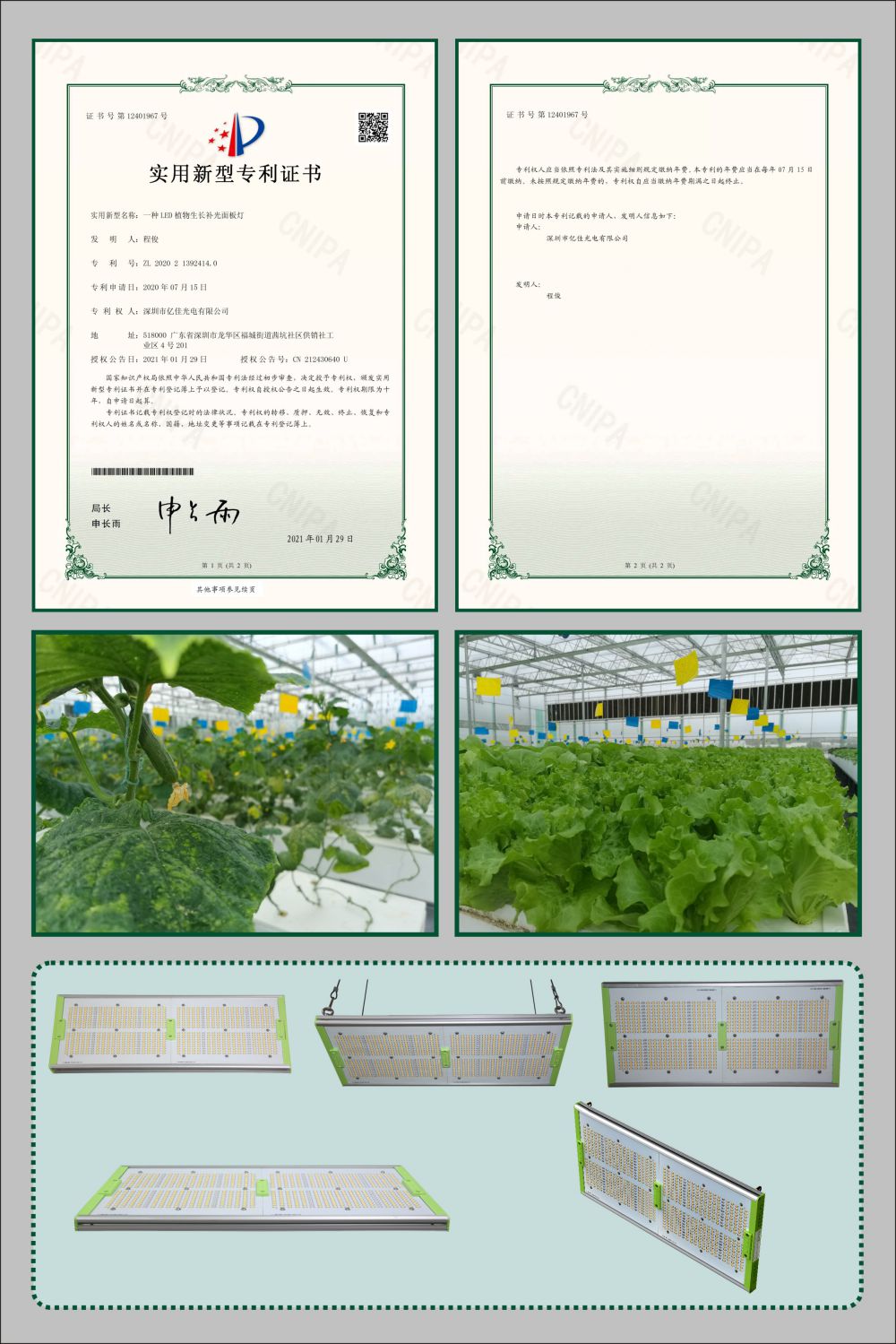 J9国际集团植物生长面板灯实用新型专利